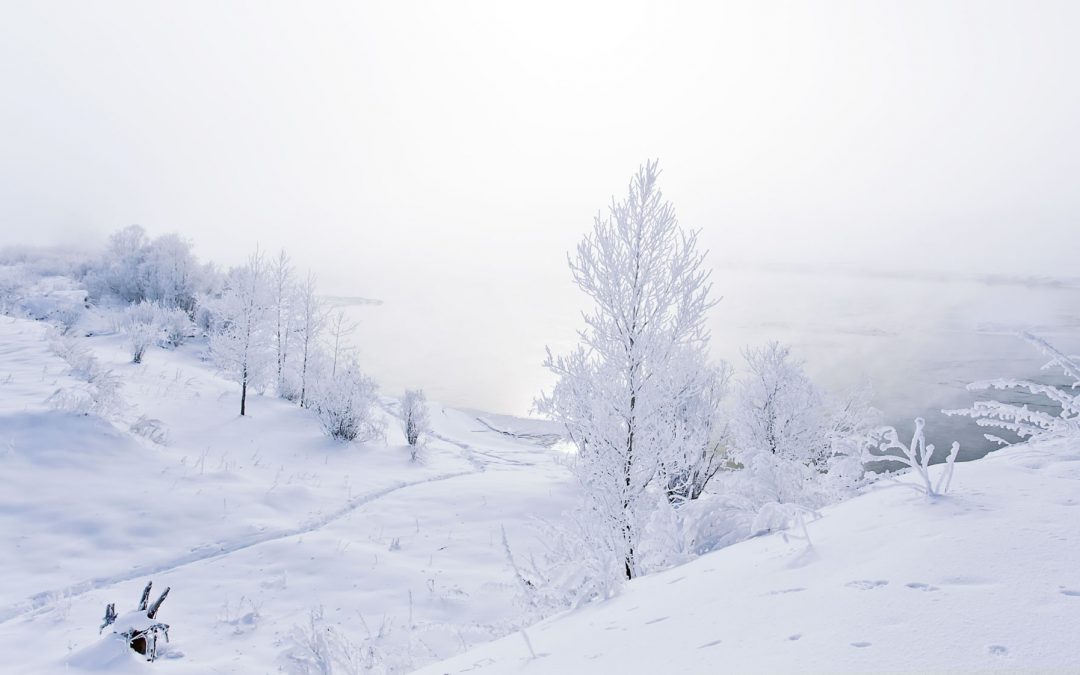 Wir suchen als Verstärkung… Schnee